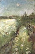 Edvard Munch Flowering Meadow at Veierland (nn02 oil painting on canvas